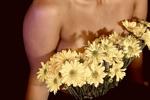 🌼🌼🌼
