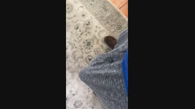 Hard as a rock