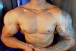 chest muscle