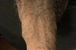 Uncut & soft