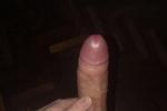 dick for fan