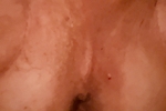 daddy dick silk โ Ass