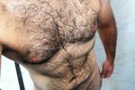 MY D*CK AND HAIRY BODY