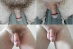 Hairy/Shaved