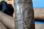 feels the veins