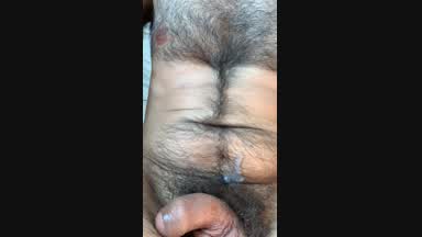 Hairy bush & balls resting