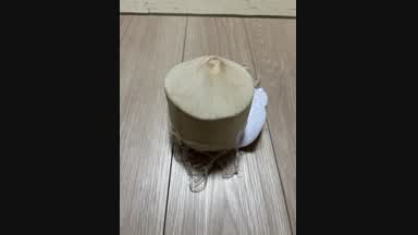 Coconut wars