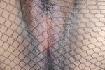 Pussy stockings