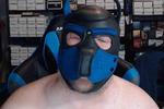 Puppo gear