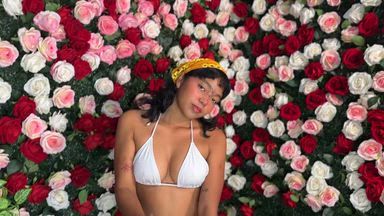 🏵️🏵️🏵️