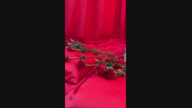 Happy Valentine's Day