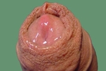 ernie live Chaturbate webcam gallery thumbnail