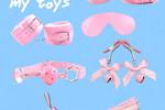 bdsm toys🌸