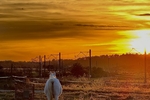 spanish gym โ CowBoy in Spain