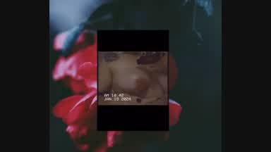 Oil on tits