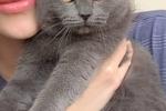 my cat is Rat