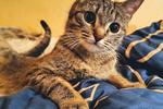 Guys,stop talking of my pussy!