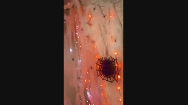 Halloween! Ghost Spider!