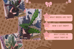 🌿!NEW!🌿