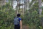 Nature 🕷️🐜🥬🌲🍃🍂