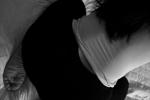 Ass - mystery9297