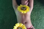 🌻🌻🌻