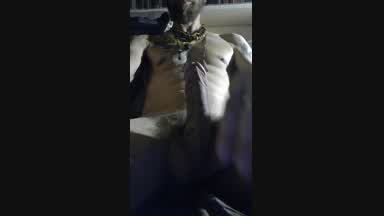 Play Dick, Hard Cock