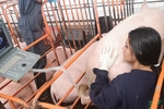 I am a student of veterinary medicine, zootechnics