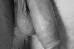My Cock