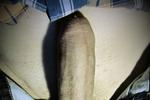 viktor live Chaturbate webcam gallery thumbnail