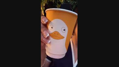 You silly goose!