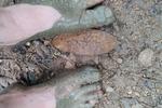 Dirty feet