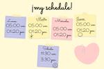 my schedule