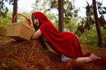A journey into the enchanted forest 🌲🍎