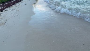 Tulum Beach Sex