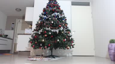 Miss Julia has been very naughty