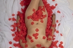 sexy little flower