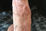 Close-up Cock