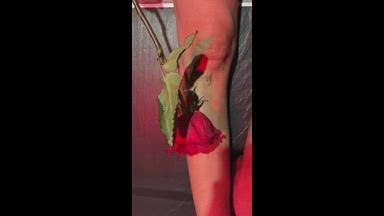 valentine's day