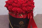 ♔Give flowers♔