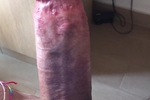 huge italian sausage or bigbanana24cm โ My hard cock