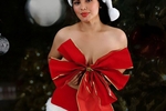 Sexy Christmas