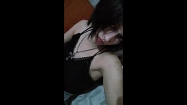Miamew webcam