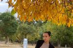 hanna live Chaturbate webcam gallery thumbnail