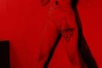Crimson Room, Wicked Intentions