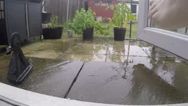 Wet garden wank