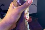 my cum 🤤