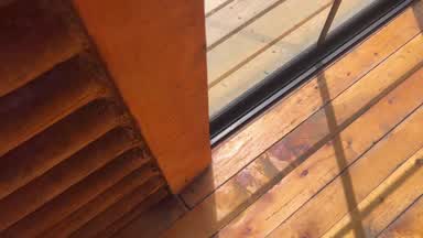 POV Anal
