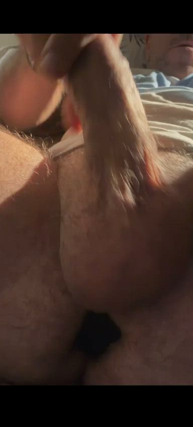 anal plug