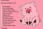 Pay pig application